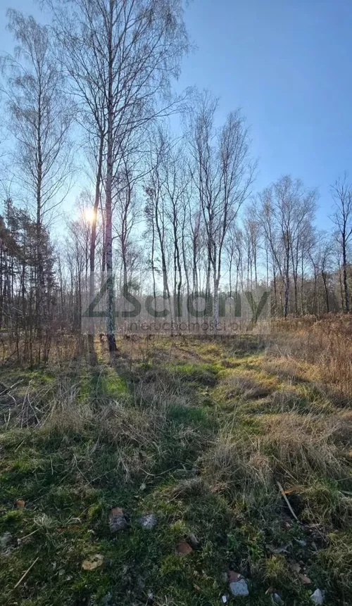 10492/3098/OGS - zdjęcie nr 0