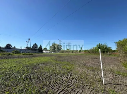 10656/3098/OGS - zdjęcie nr 0