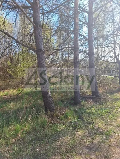 10495/3098/OGS - zdjęcie nr 0