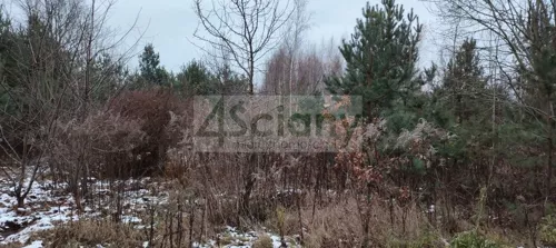 9628/3098/OGS - zdjęcie nr 0