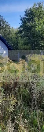 10325/3098/OGS - zdjęcie nr 0