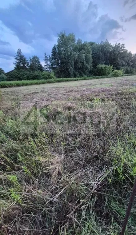 10626/3098/OGS - zdjęcie nr 0