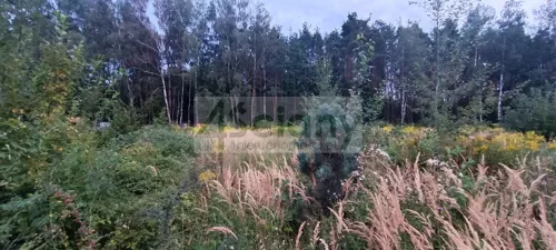 10623/3098/OGS - zdjęcie nr 0