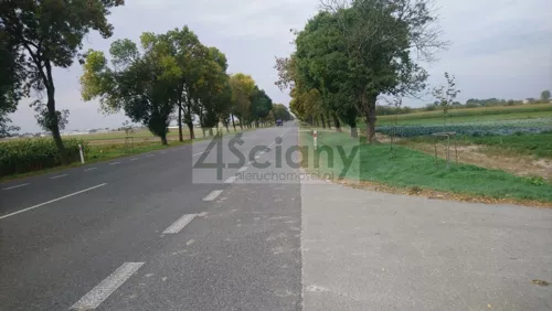 6573/3098/OGS - zdjęcie nr 0