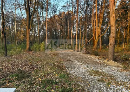 10431/3098/OGS - zdjęcie nr 0