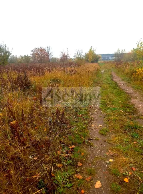 10690/3098/OGS - zdjęcie nr 0