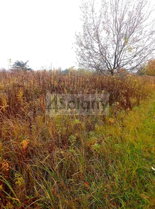 10688/3098/OGS - zdjęcie nr 0