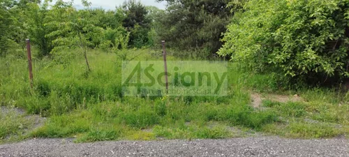 10031/3098/OGS - zdjęcie nr 0