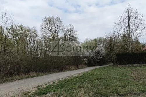 10453/3098/OGS - zdjęcie nr 0