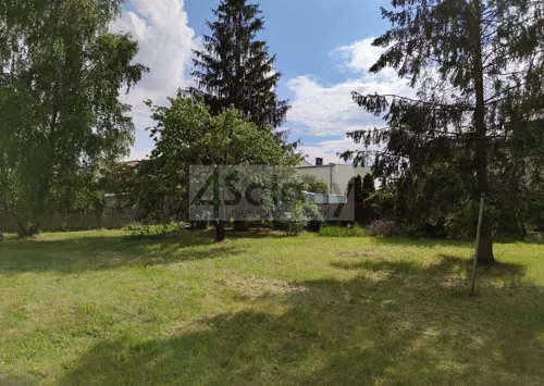 7646/3098/OGS - zdjęcie nr 0