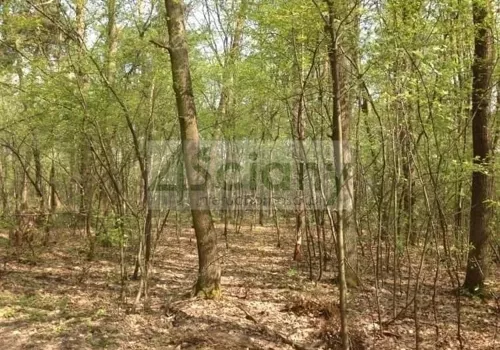 7696/3098/OGS - zdjęcie nr 0
