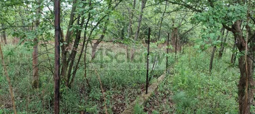 10164/3098/OGS - zdjęcie nr 0