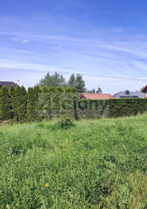10003/3098/OGS - zdjęcie nr 0