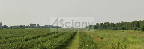 9701/3098/OGS - zdjęcie nr 0