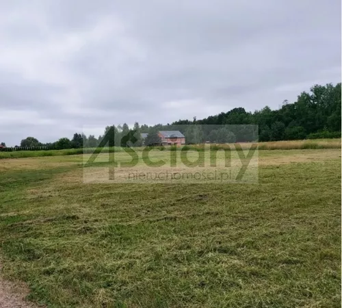 10442/3098/OGS - zdjęcie nr 0