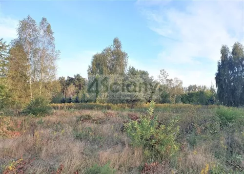 10369/3098/OGS - zdjęcie nr 0