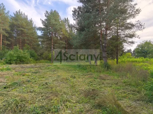 10562/3098/OGS - zdjęcie nr 0
