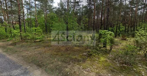 8517/3098/OGS - zdjęcie nr 0