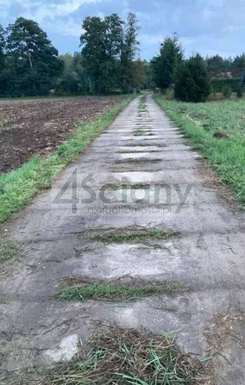 8933/3098/OGS - zdjęcie nr 0