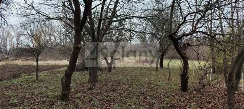 10628/3098/OGS - zdjęcie nr 0