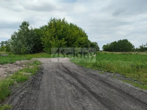 7845/3098/OGS - zdjęcie nr 0