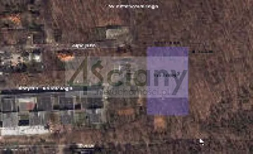 4298/3098/OGS - zdjęcie nr 0