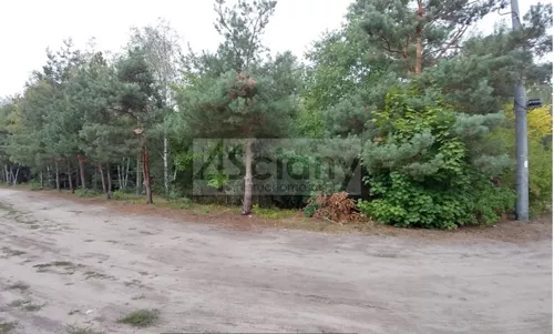 8472/3098/OGS - zdjęcie nr 0