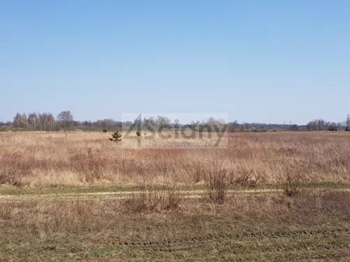 4304/3098/OGS - zdjęcie nr 0