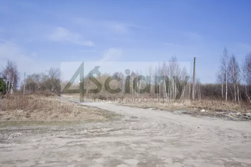 5115/3098/OGS - zdjęcie nr 0
