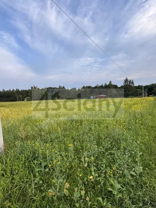 10155/3098/OGS - zdjęcie nr 0