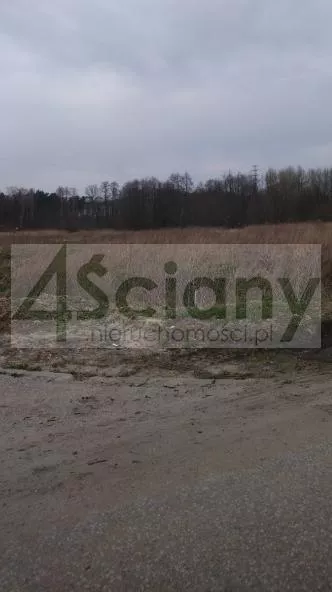 7066/3098/OGS - zdjęcie nr 0