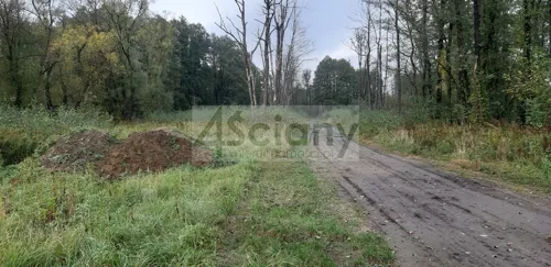 8978/3098/OGS - zdjęcie nr 0