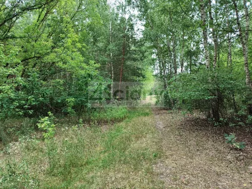 10580/3098/OGS - zdjęcie nr 0