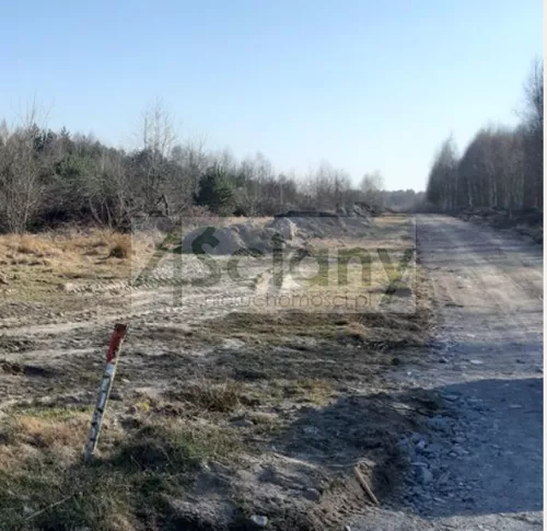 9335/3098/OGS - zdjęcie nr 0