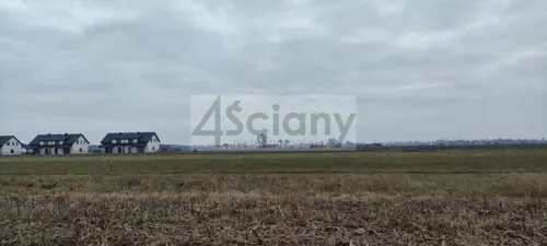 9673/3098/OGS - zdjęcie nr 0