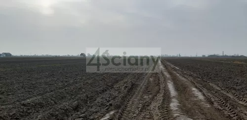 9419/3098/OGS - zdjęcie nr 0