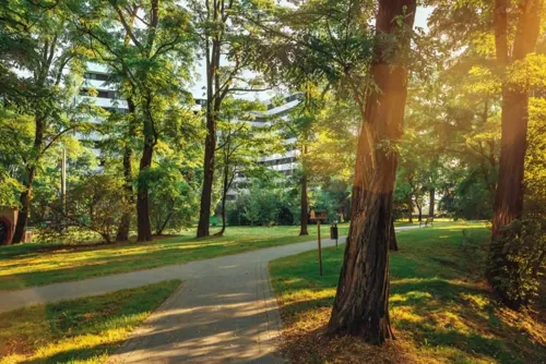Piasta Park II - zdjęcie nr 1
