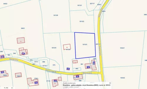 24886 - zdjęcie nr 0