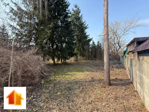 94-GS-FYsfc4UjoL - zdjęcie nr 0