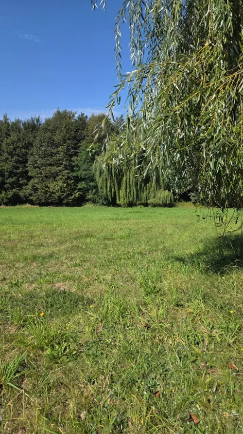 311-GS-FYsfc4UjoL - zdjęcie nr 0