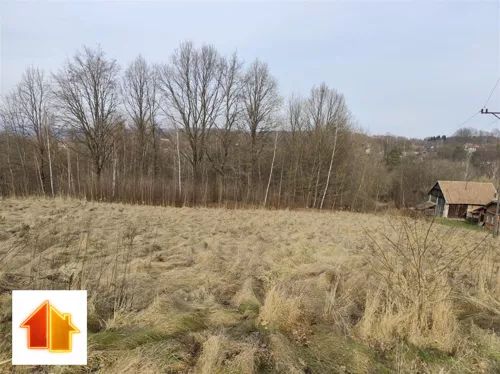 ASR-GS-49617 - zdjęcie nr 0