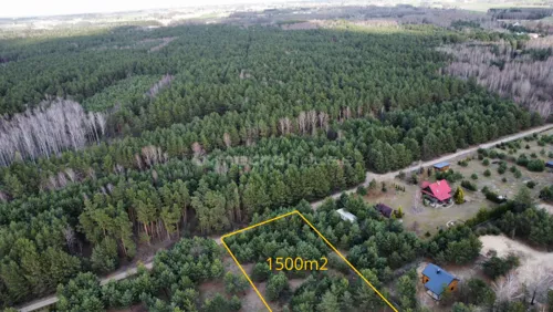 SGROLA877 - zdjęcie nr 0