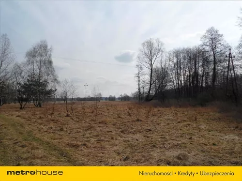 BECI264 - zdjęcie nr 0