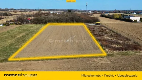 SGBIRU689 - zdjęcie nr 0