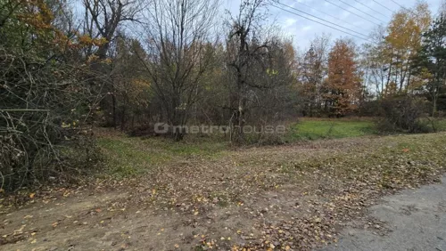 SGKAMY618 - zdjęcie nr 0