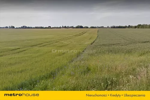 XISI518 - zdjęcie nr 0