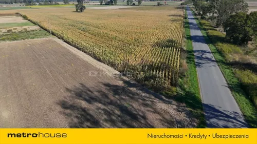 SGKOTA142 - zdjęcie nr 0