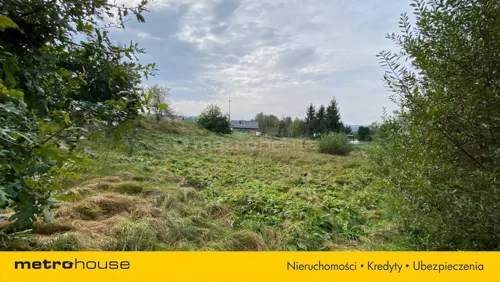 SGRAZU995 - zdjęcie nr 0