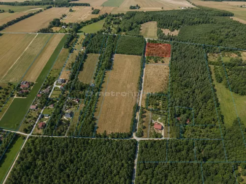 SGLEDE915 - zdjęcie nr 0