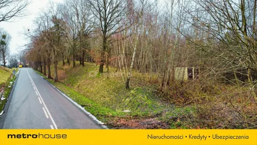 SGRISA672 - zdjęcie nr 0